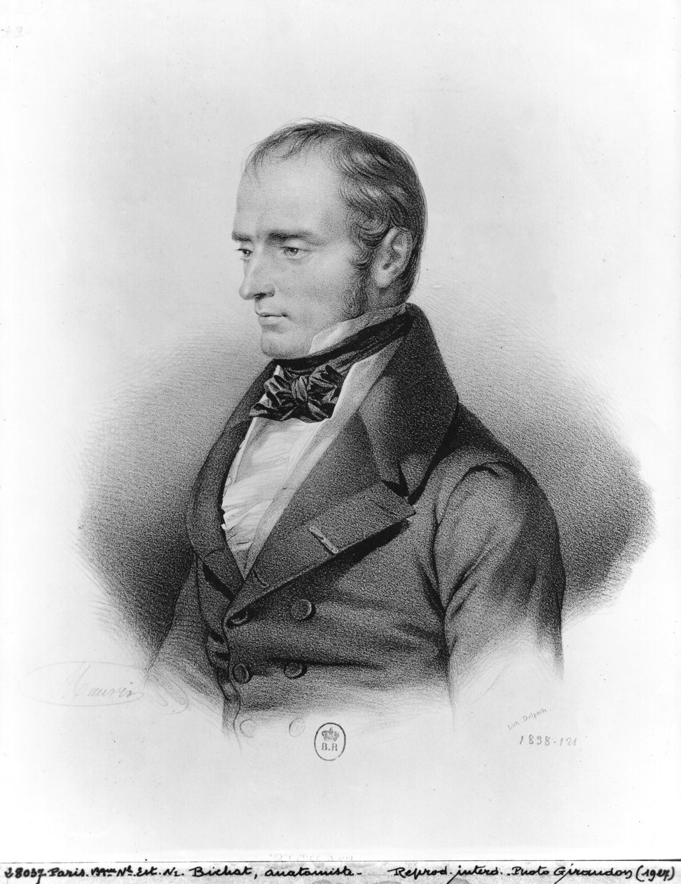 फ्रेंकोइस जेवियर बिचेट का पोर्ट्रेट (1771-1802) फ्रेंकोइस सेराफिन डेलपेच द्वारा उत्कीर्ण द्वारा फ्रेंच स्कूल