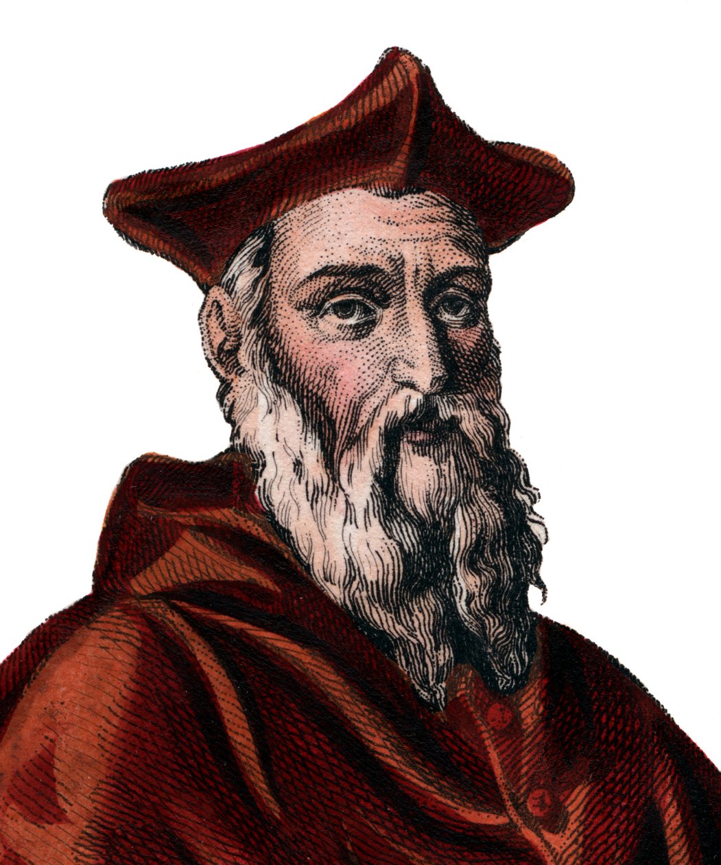 जीन डू बेले (1492-1560), फ्रेंच कार्डिनल और राजनयिक का चित्रण। द्वारा फ्रेंच स्कूल