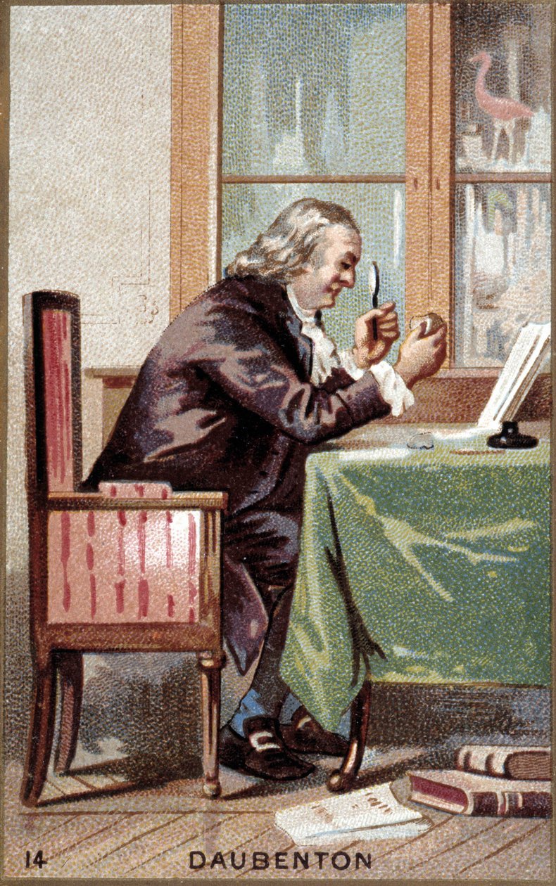 लुई जीन मैरी ड्यूबेंटन (1716 - 1800), फ्रांसीसी प्रकृतिवादी का पोर्ट्रेट। द्वारा फ्रेंच स्कूल