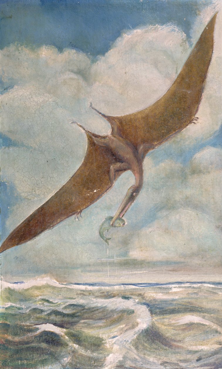 Pterodactyl मछली पकड़ना द्वारा फ्रेंच स्कूल