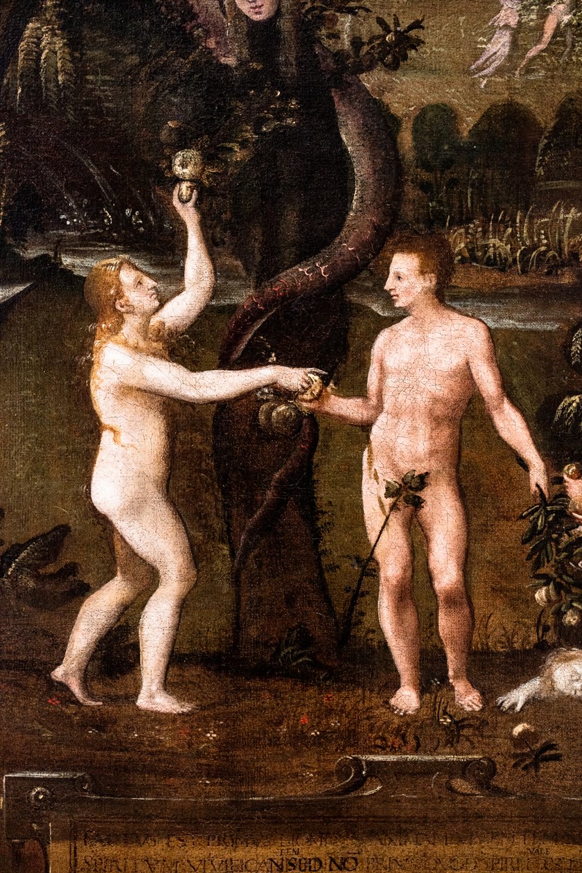  द्वारा फ्रेंच स्कूल