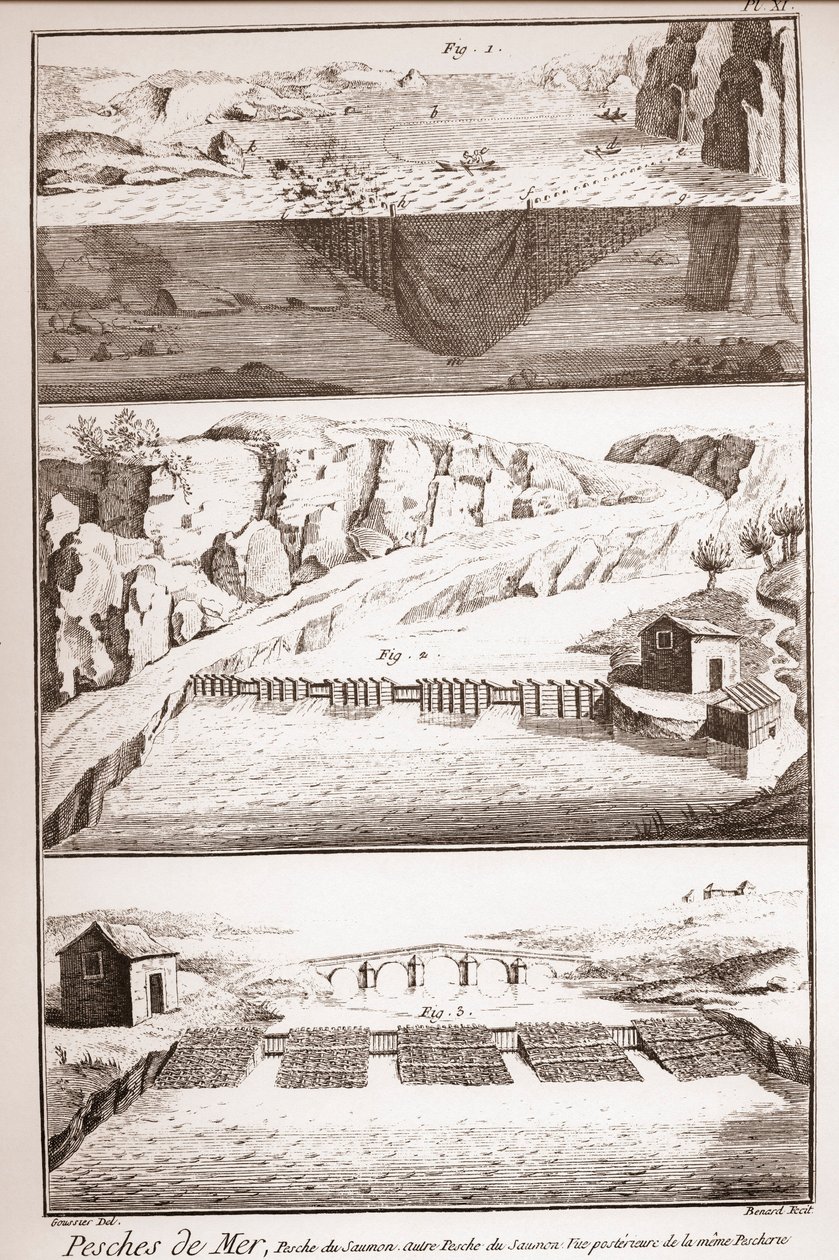 सैल्मन मछली पकड़ने की तकनीक - डेनिस डाइडरोट (1713-1784) और जीन डी'अलेम्बर्ट (1717-1783) द्वारा विश्वकोश या विज्ञान, कला और व्यवसायों का शब्दकोश द्वारा फ्रेंच स्कूल