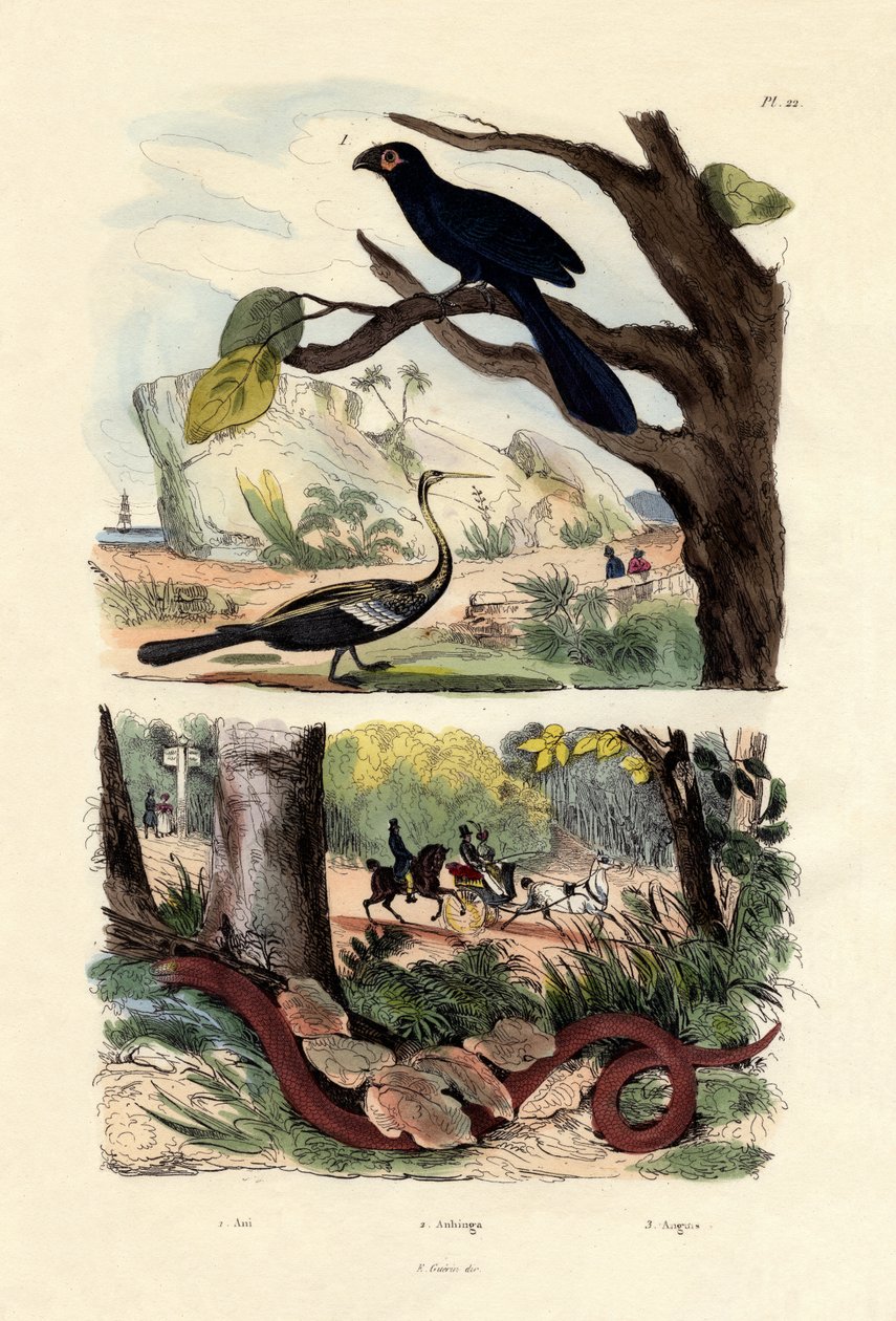 चिकनी-बिली एनी, 1833-39 द्वारा फ्रेंच स्कूल