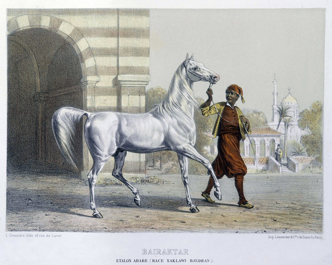 Stalon arabe, Bairaktar द्वारा फ्रेंच स्कूल
