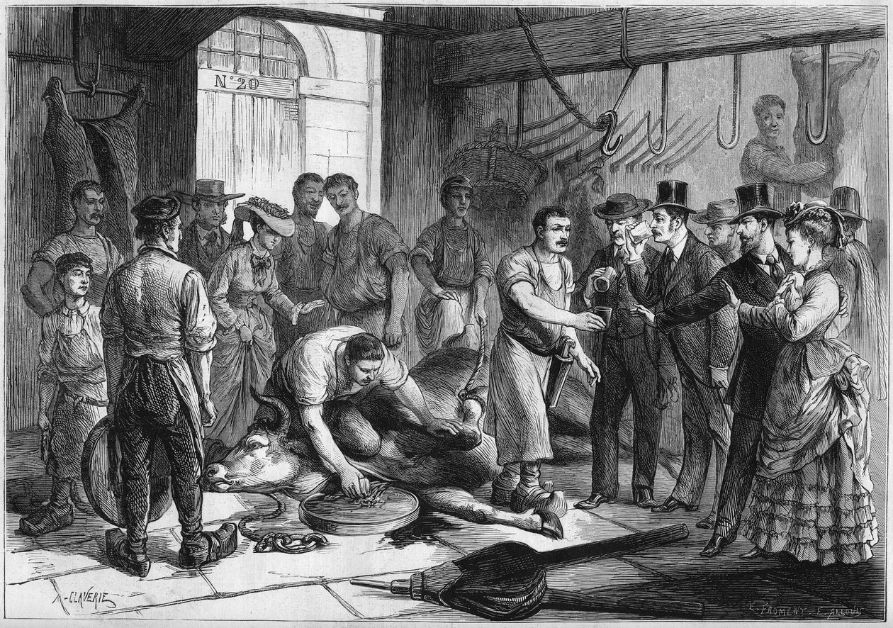 अंधविश्वास: "" पेरिस में बूचड़खाने डे ला विलेट में खून पीने वाले""। बीमार पेरिसवासी ताजा बीफ का खून पीने आते हैं, और अपनी समस्याओं का इलाज खोजने की उम्मीद करते हैं। कसाई एक गिलास में सुपारी का खून इकट्ठा करता है। उत्कीर्णन " द्वारा फ्रेंच स्कूल