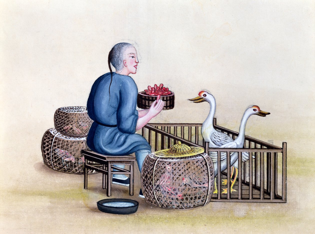 पेकिंग के सड़क कॉल पर एक किताब से पोल्ट्री व्यापारी, c.1785 (कागज पर wc और gouache) द्वारा फ्रेंच स्कूल