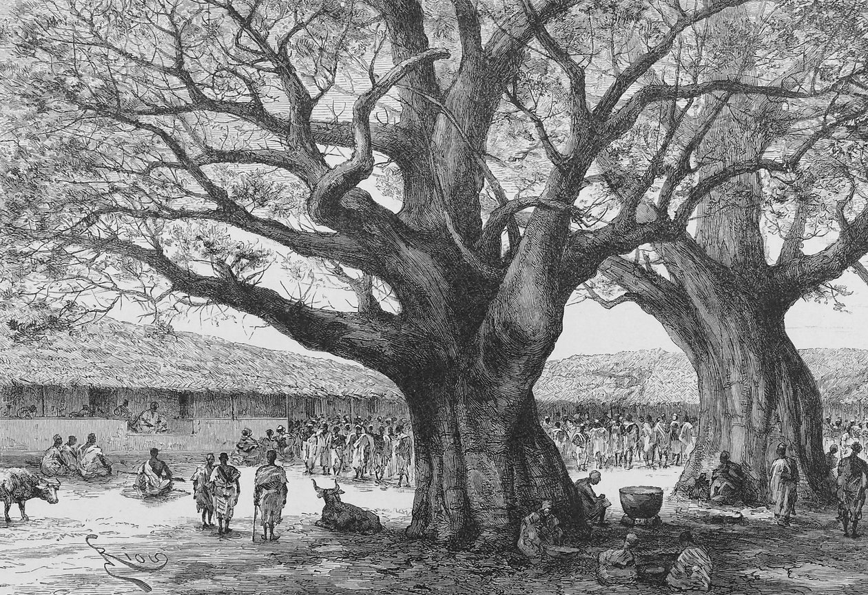 अऊआबू में द रॉयल रेसिडेंस, लुई गुस्टेव बिंजर, 1892 द्वारा "डू नाइजर एयू गोल्फ डे गुने ..." का चित्रण द्वारा फ्रेंच स्कूल