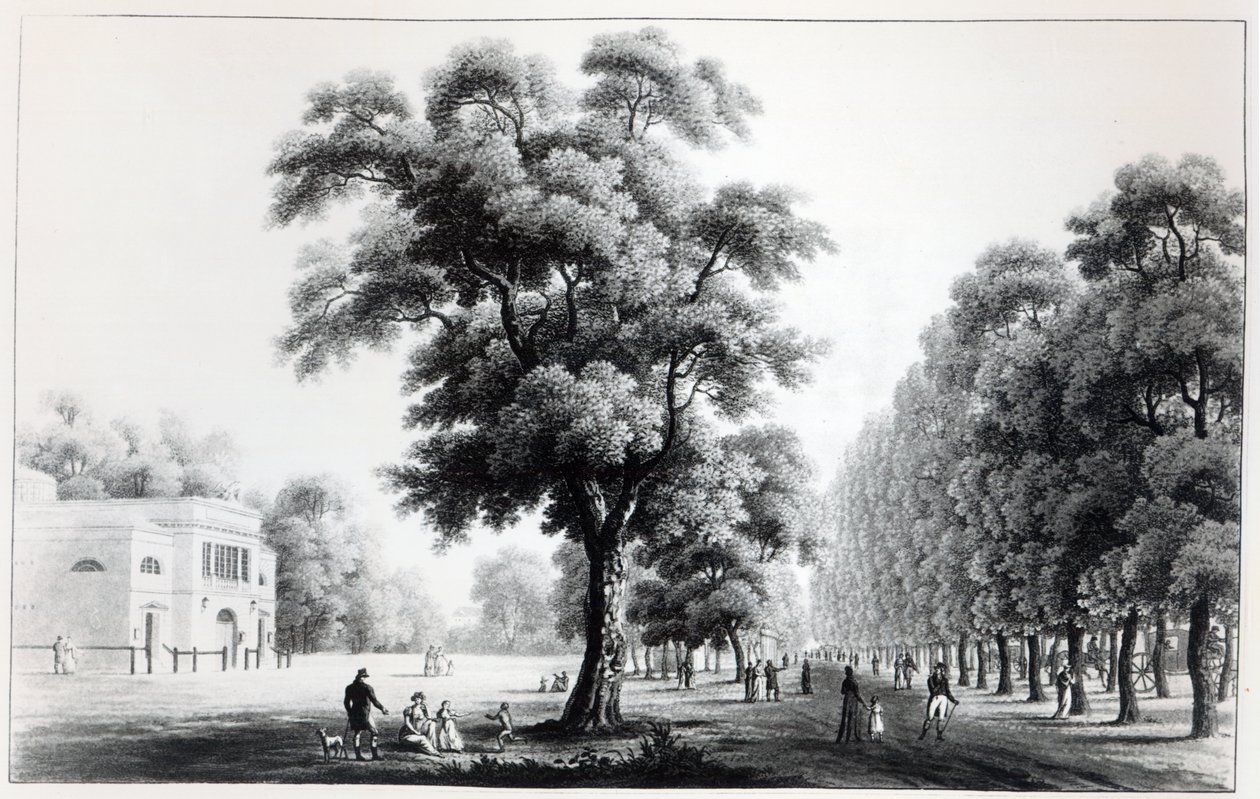 प्रेटार, वियना, 1821 में मुख्य एवेन्यू द्वारा फ्रेंच स्कूल