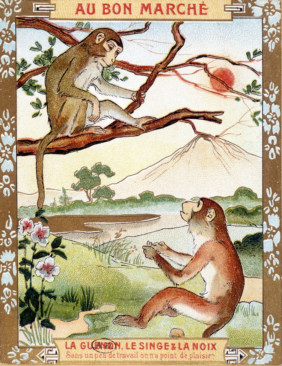 बंदर और अखरोट (Fable de La Fontaine) - विज्ञापन शब्दचित्र डू बॉन मार्चे Bon द्वारा फ्रेंच स्कूल