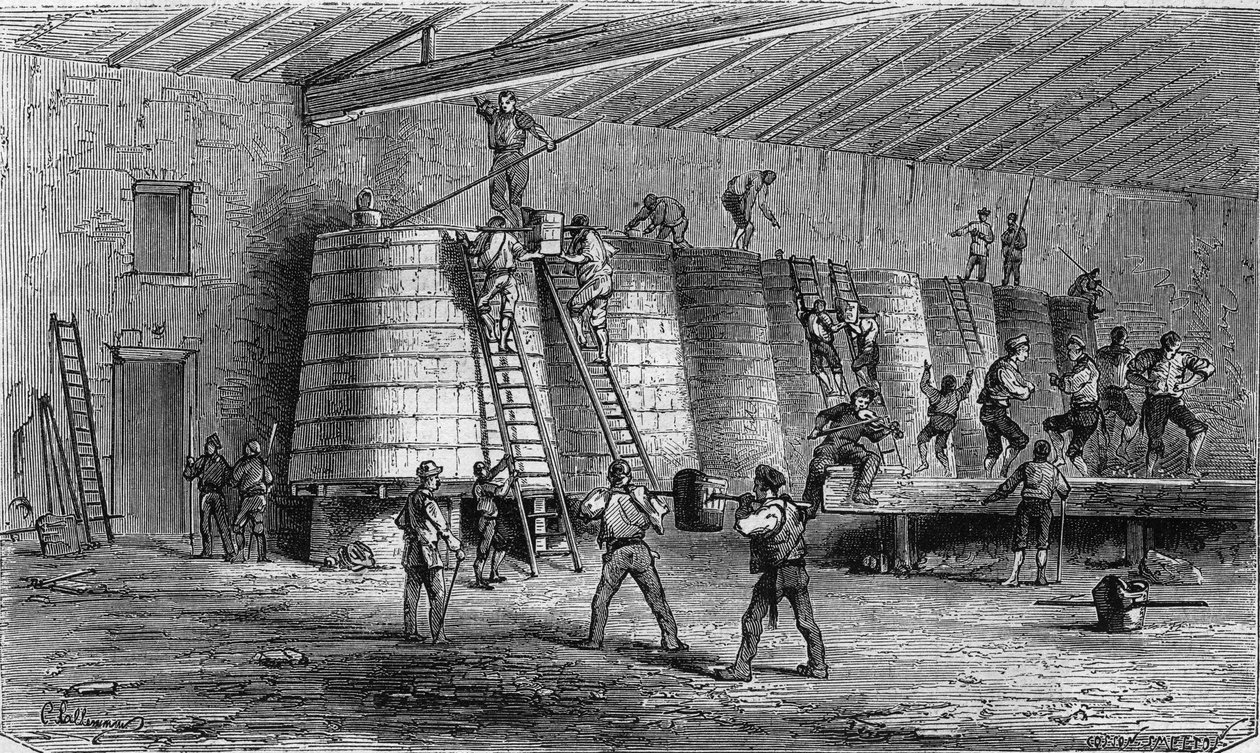 मेडोक में अंगूर की खेती: क्रशिंग और वैटिंग। 11 जनवरी, 1868 के "" ले मोंडे इलस्ट्रे "" एन ° 561 में उत्कीर्णन। द्वारा फ्रेंच स्कूल