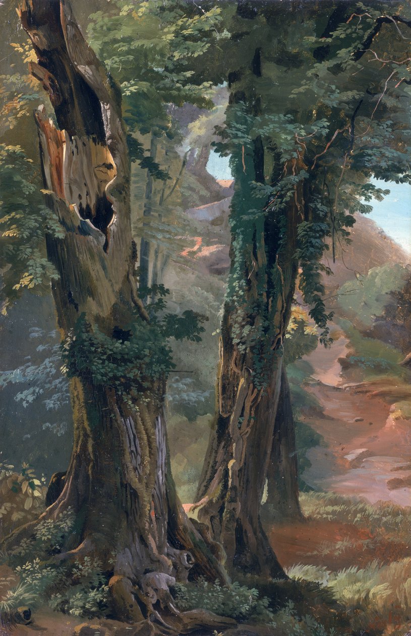 ओल्ड एल्म्स, c.1835 (बोर्ड पर कागज पर तेल) द्वारा फ्रेडरिक नेर्ले