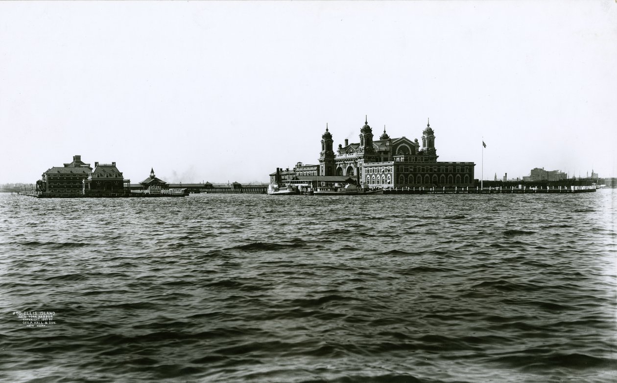 एलिस द्वीप, न्यूयॉर्क हार्बर, 1903 द्वारा जीपी हॉल और बेटा