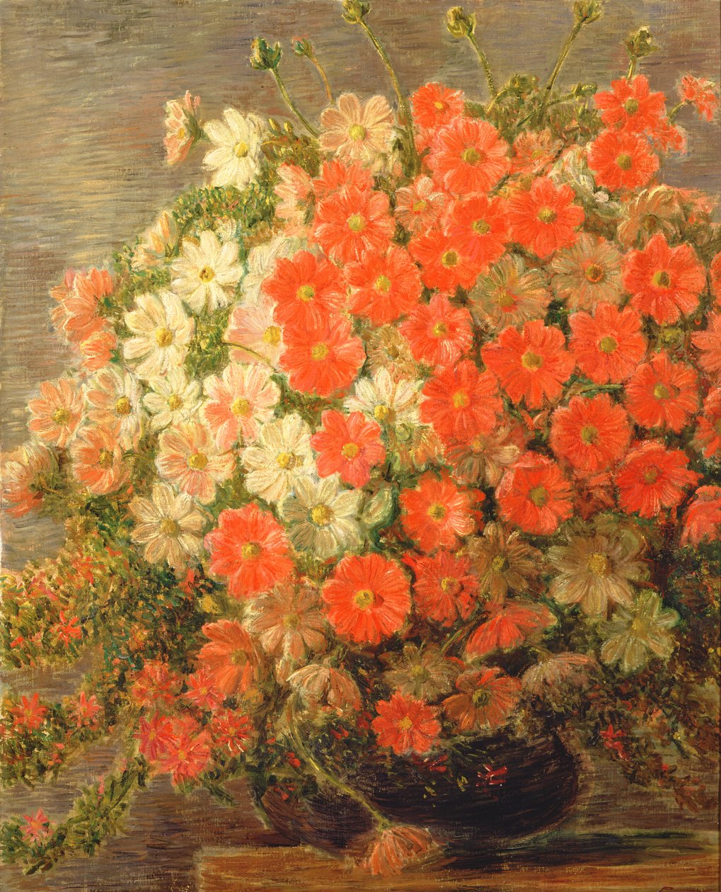 dahlias द्वारा गीतो प्रीति