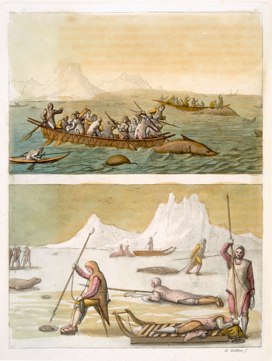 ग्रीनलैंड: व्हेल मछली पकड़ने और सील शिकार, &39;ले कॉस्टयूम एंसिन एट मॉडर्न&39;, वॉल्यूम I, प्लेट 26, जूल्स फेरेरियो द्वारा, c.1820s-30s (रंग उत्कीर्णन) प्रकाशित (116101 भी देखें) द्वारा गैलो गैलीना