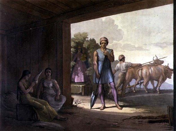 भारतीय जेसुइट (रंग उत्कीर्णन) द्वारा गैलो गैलीना