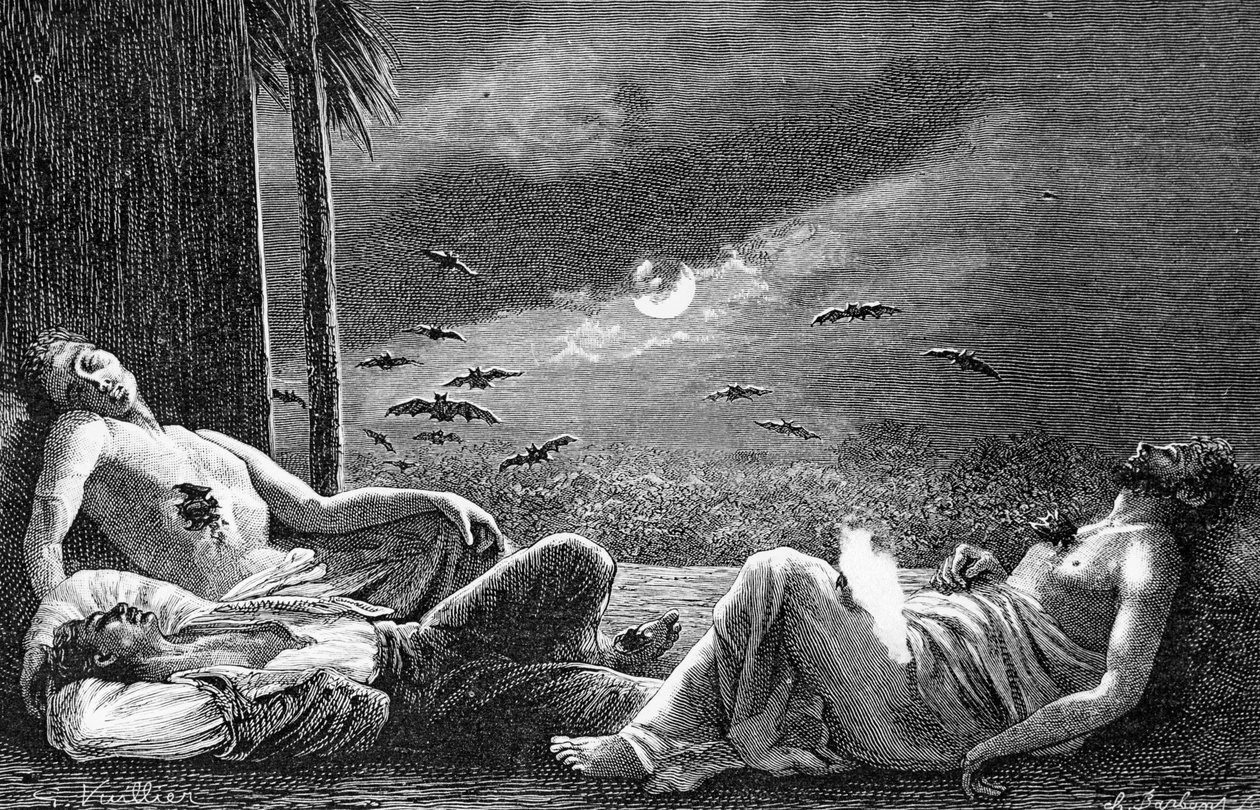 पिशाच चमगादड़ सोते हुए मनुष्यों को खिलाते हैं, c.1890 द्वारा गैस्टन वूलीयर