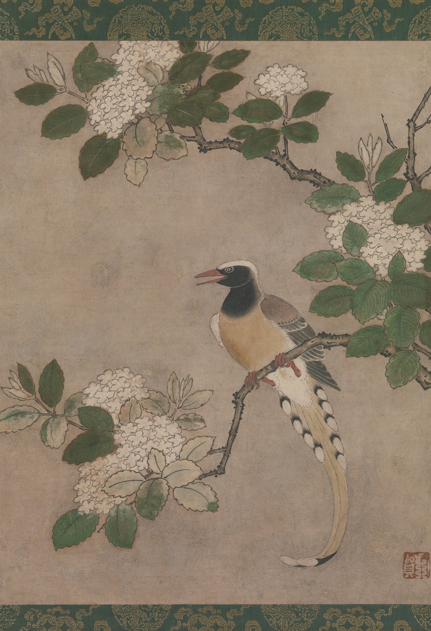 Viburnum शाखा पर मैगपाई, 16वीं शताब्दी की शुरुआत में। द्वारा गेंगा
