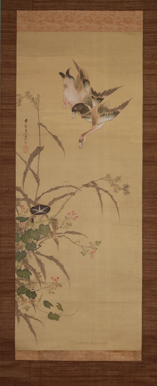 बतख, फूल और घास, c.1800-22 (रेशम पर स्याही और रंग) द्वारा जेंटाई सैनजिन