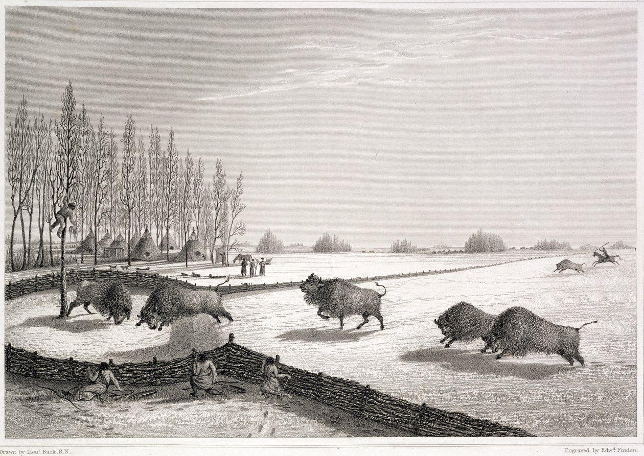 जॉन फ्रेंकलिन (1786-1847) द्वारा एडवर्ड फाइंडेन (1791-1857) द्वारा 1823-22 में &39;बफेलो पाउंड, द नैरेटिव ऑफ द जर्नी ऑफ द जर्जर ऑफ द ईयर 1819-22&39; द्वारा जॉर्ज बैक