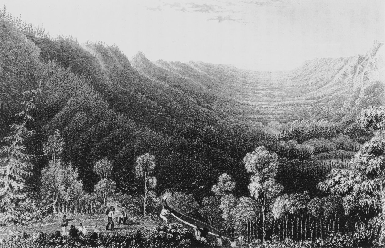 मेथे पोर्टेज से क्लियरवॉटर रिवर की घाटी, 1828 द्वारा जॉर्ज बैक