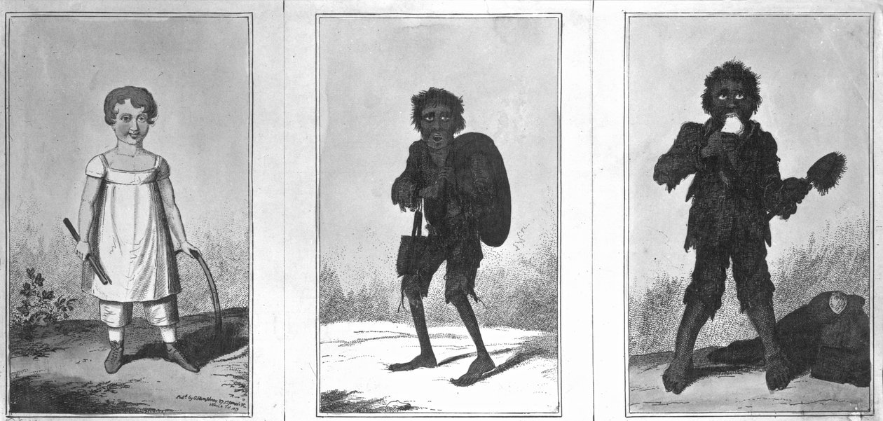 सुंदर बॉब, गरीब बॉब, बंदी बॉब, 1819 द्वारा जॉर्ज क्रूइशांक