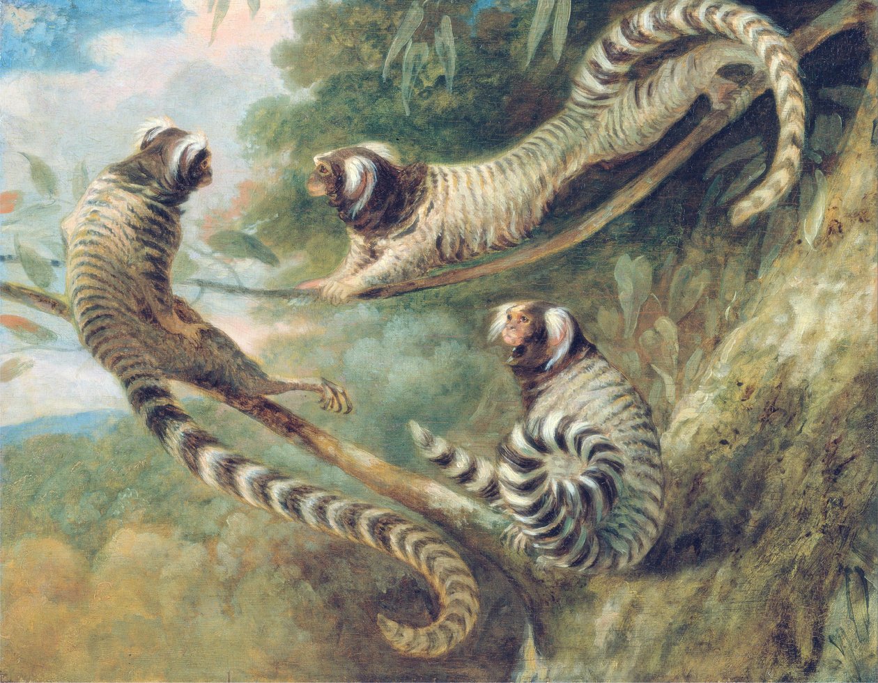 तीन दृष्टिकोण में एक Marmoset द्वारा जॉर्ज गैरार्ड