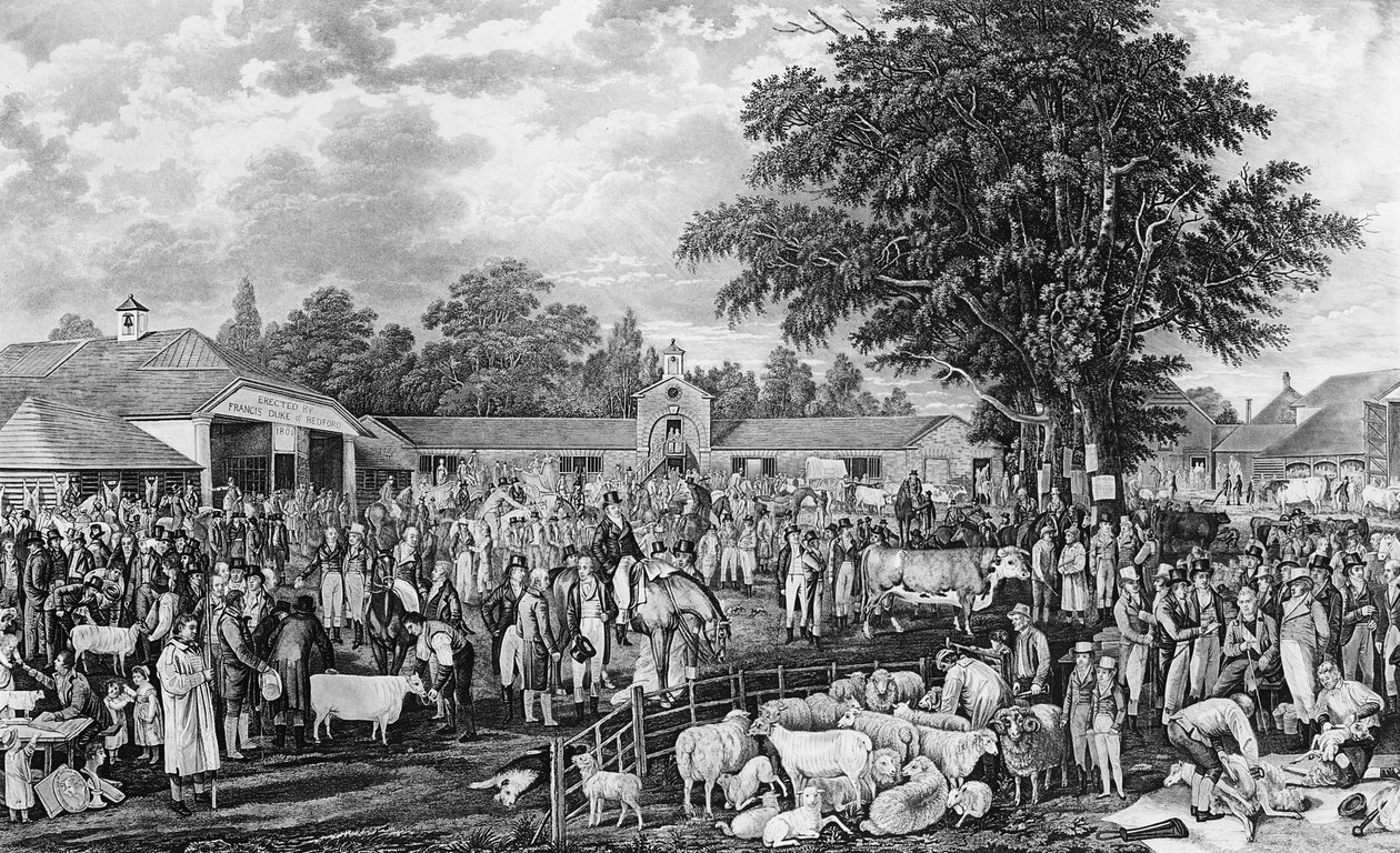 वोबर्न शीपशियरिंग, थॉमस मॉरिस द्वारा उत्कीर्ण, 1811 द्वारा जॉर्ज गैरार्ड