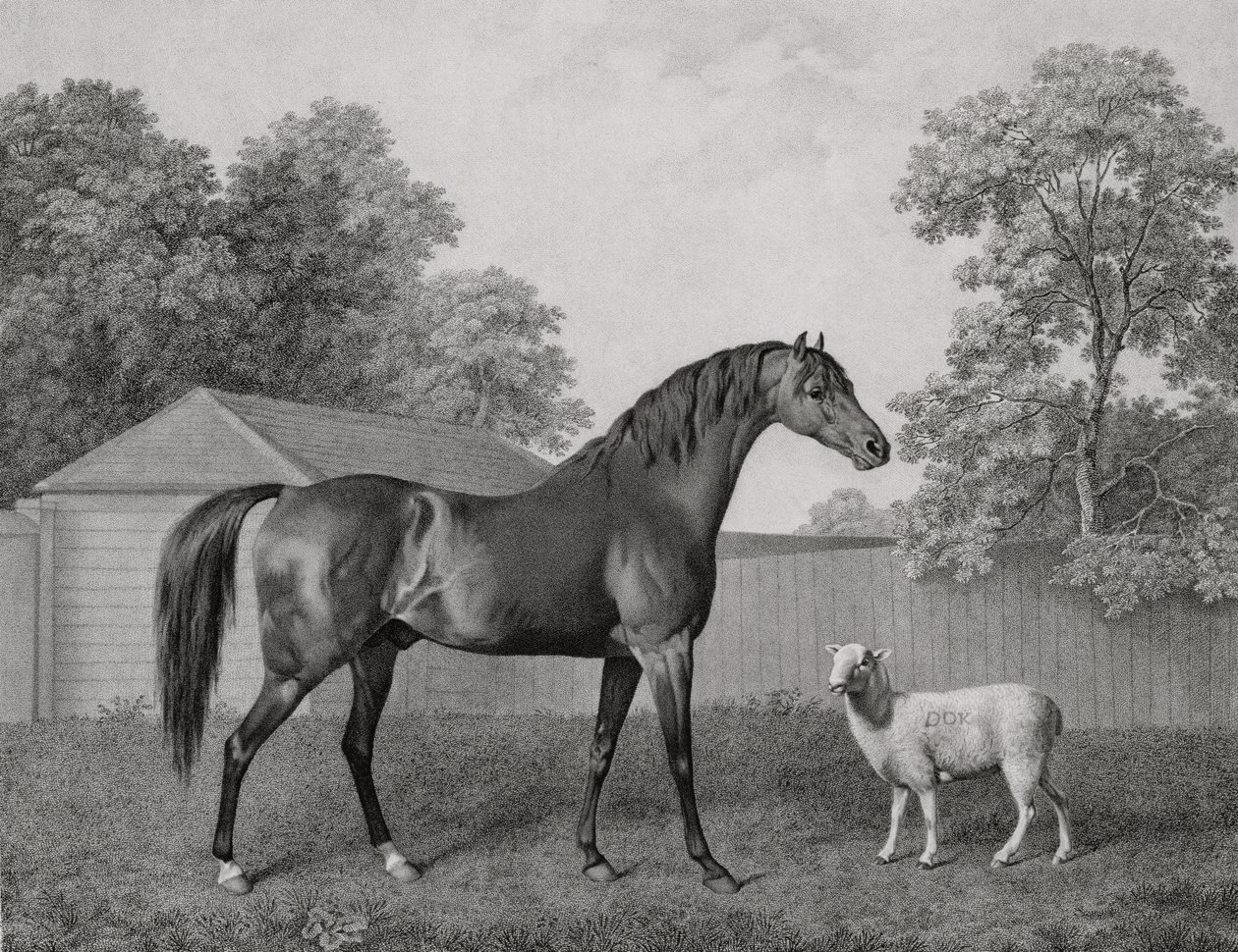 डूंगानन, जॉर्ज टाउनले स्टब्स (1756-1815) पब द्वारा उत्कीर्ण। 1794 द्वारा जॉर्ज स्टब्स