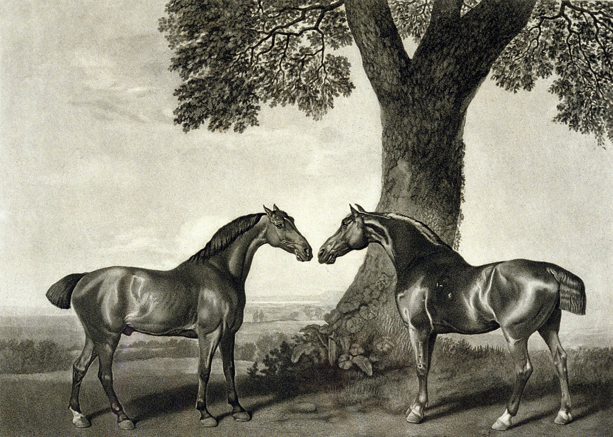 दो शिकारी, जीटी स्टब्स द्वारा उकेरा गया (bap.1748-c.1815) (लिथो) (266802 भी देखें) द्वारा जॉर्ज (बाद) स्टब्स