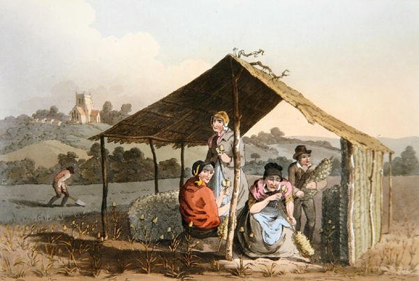 रॉबर्ट हैवेल (1769-1832) 1814 (कलर लिथो) द्वारा उकेरी गई 'कॉस्ट्यूम ऑफ यॉर्कशायर' से टीज़ल फील्ड द्वारा जॉर्ज (बाद) वॉकर