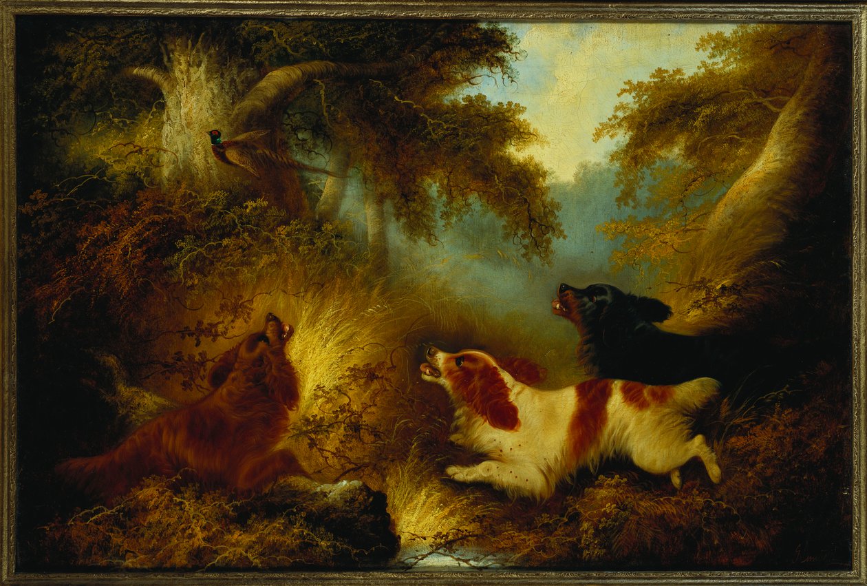 Spaniels एक तीतर डाल द्वारा जॉर्ज आर्मफील्ड