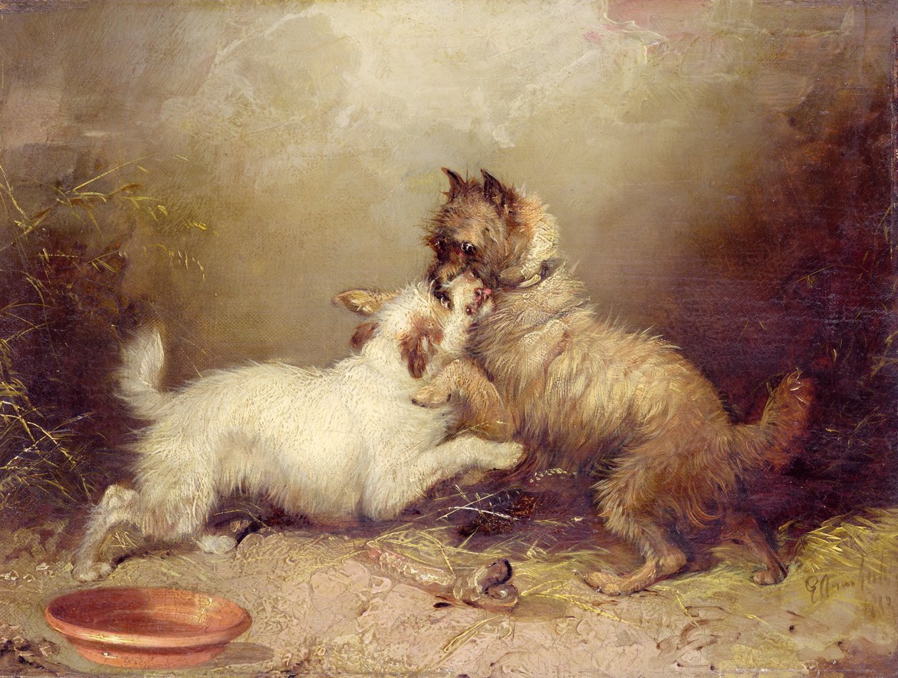  द्वारा जॉर्ज आर्मफील्ड