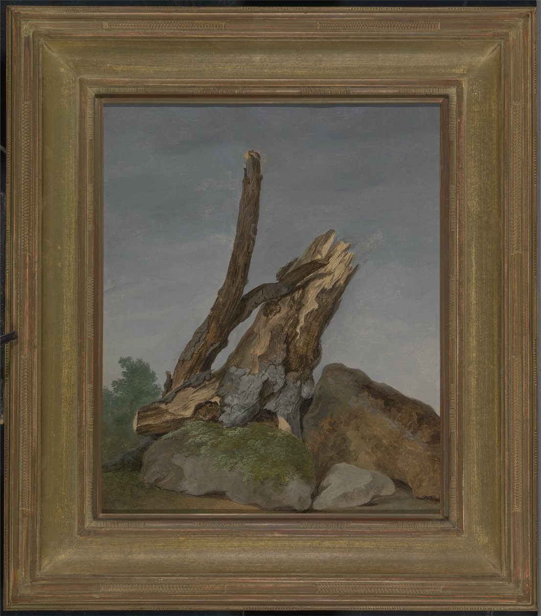 चट्टानों और शाखाओं का अध्ययन, c.1795 (कागज पर तेल) द्वारा जॉर्ज ऑगस्टस वालिस