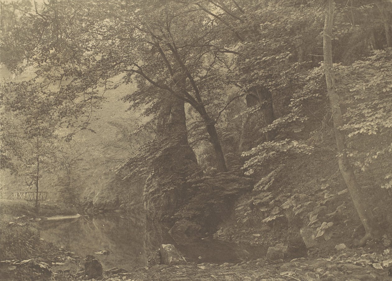 पाइक पूल, 1880, 1888 मुद्रित। द्वारा जॉर्ज बैंककार्ट