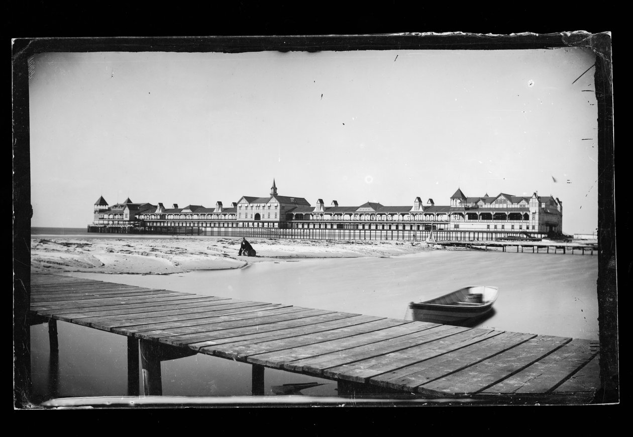 आयरन घाट, कोनी द्वीप, ब्रुकलिन, c.1872-87 (गीला-कोलोडियन नकारात्मक) द्वारा जॉर्ज ब्रैडफोर्ड ब्रेनरड