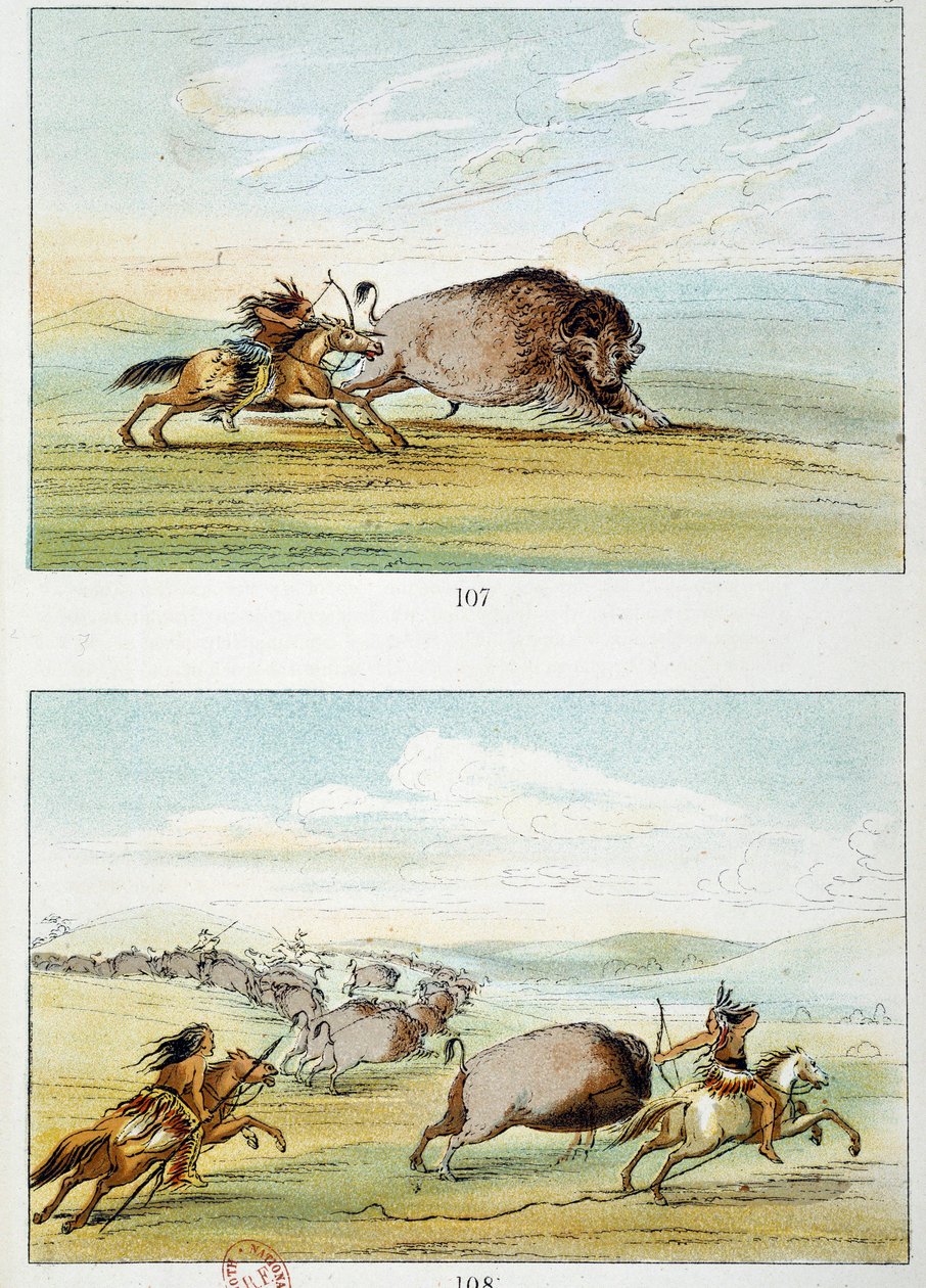 अमेरिकी भारतीय: बाइसन हंट। जॉर्ज कैटलिन द्वारा चित्रण (1794-1872) द्वारा जॉर्ज कैटलिन