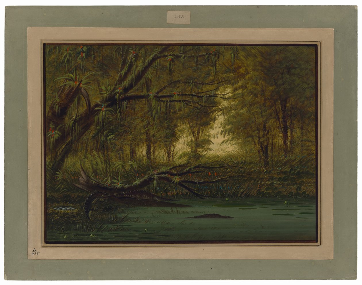  द्वारा जॉर्ज कैटलिन