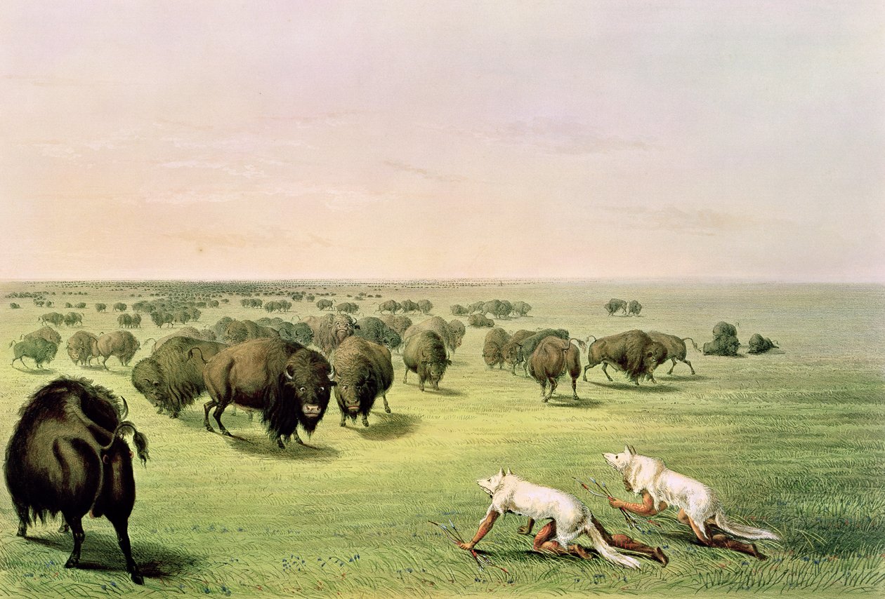 वुल्फ स्किन्स के साथ भैंस का छलावरण, c.1832 द्वारा जॉर्ज कैटलिन