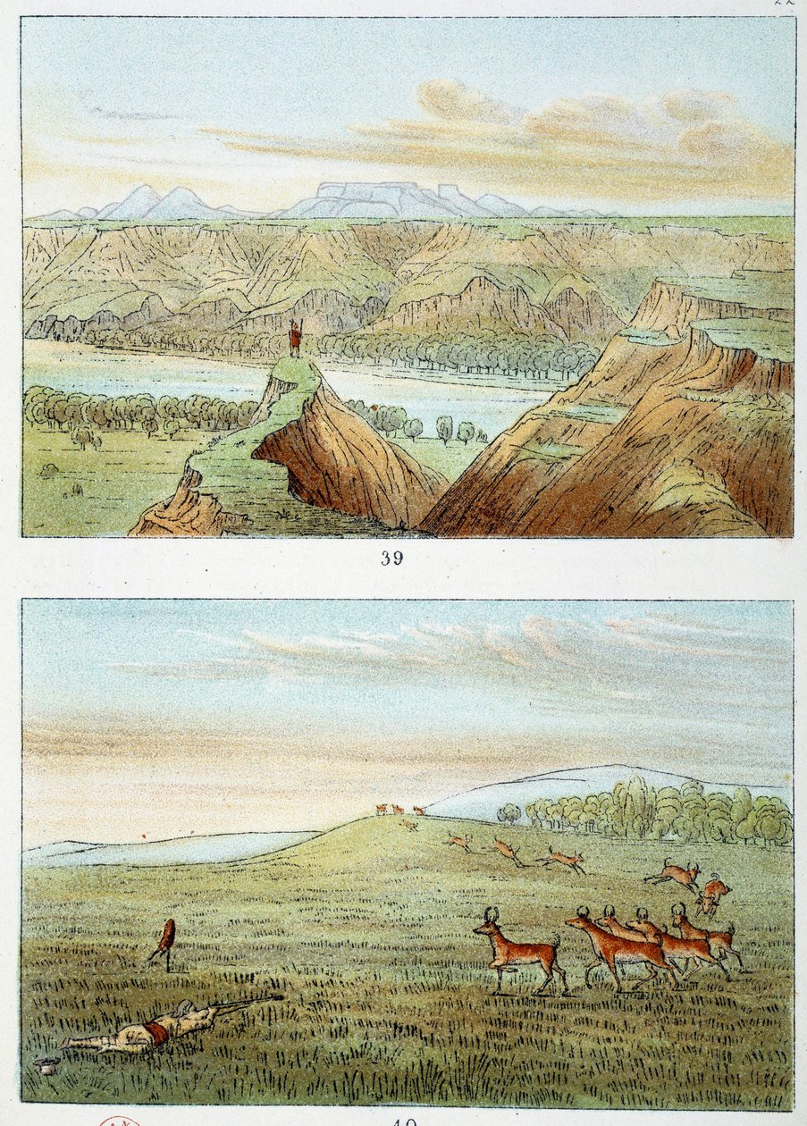 अमेरिका के भारतीय: जॉर्ज कैटलिन द्वारा उत्कीर्ण मृगों का शिकार (1794-1872) द्वारा जॉर्ज कैटलिन