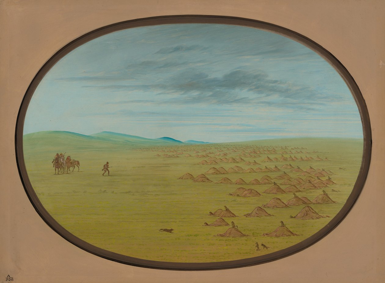 प्रेयरी डॉग विलेज, 18611869। द्वारा जॉर्ज कैटलिन