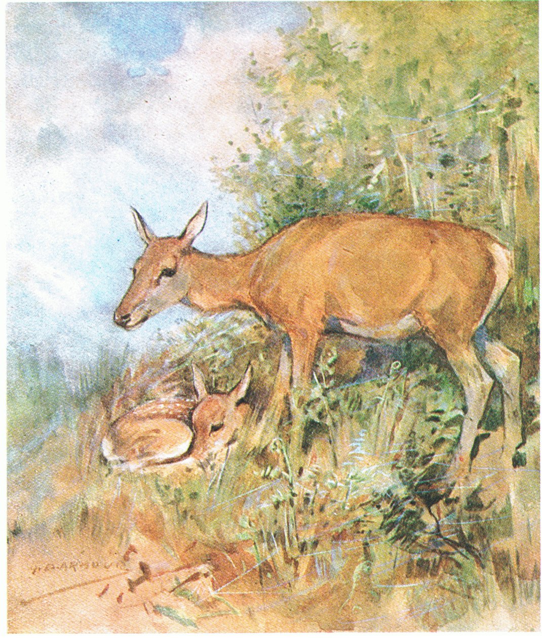  द्वारा जॉर्ज डेनहोम कवच