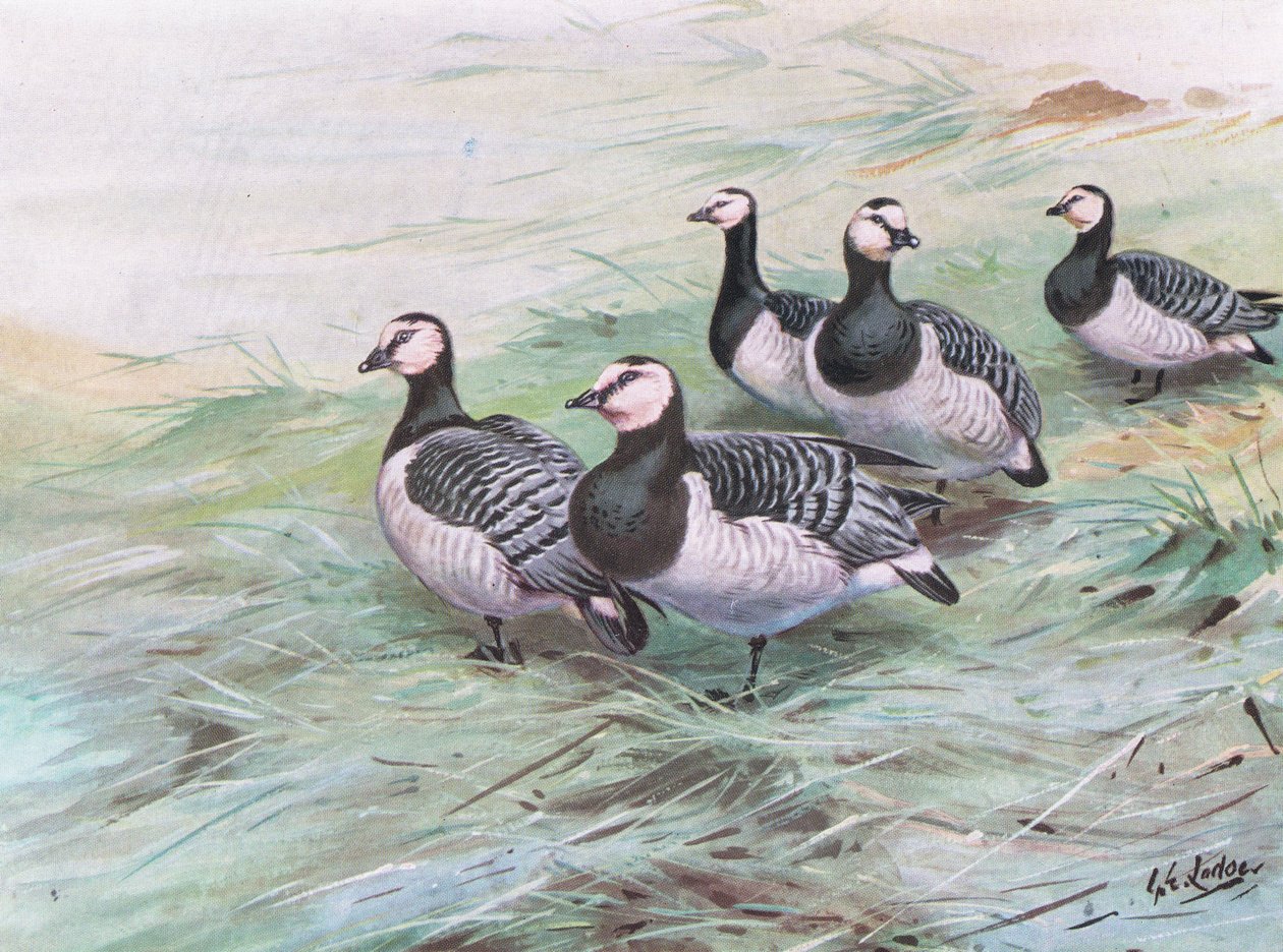  द्वारा जॉर्ज एडवर्ड लॉज