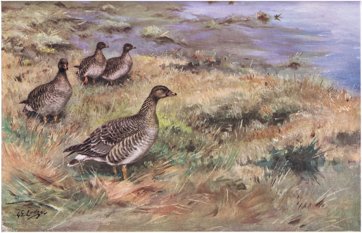  द्वारा जॉर्ज एडवर्ड लॉज