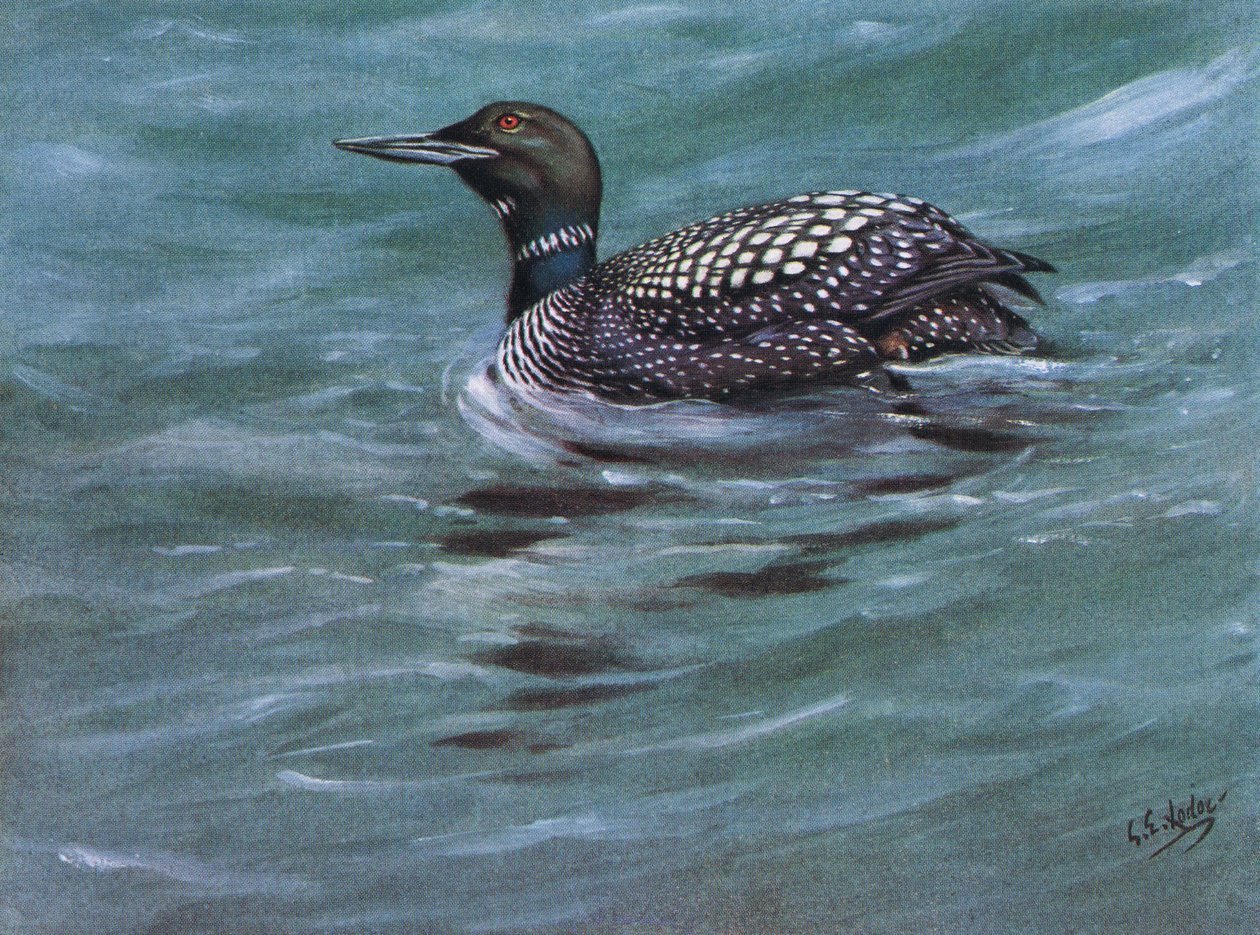  द्वारा जॉर्ज एडवर्ड लॉज