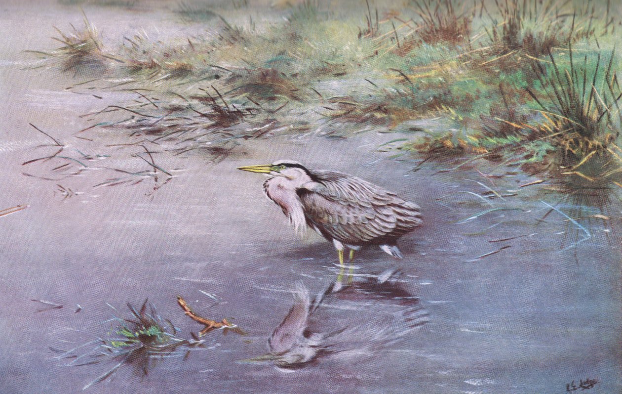  द्वारा जॉर्ज एडवर्ड लॉज