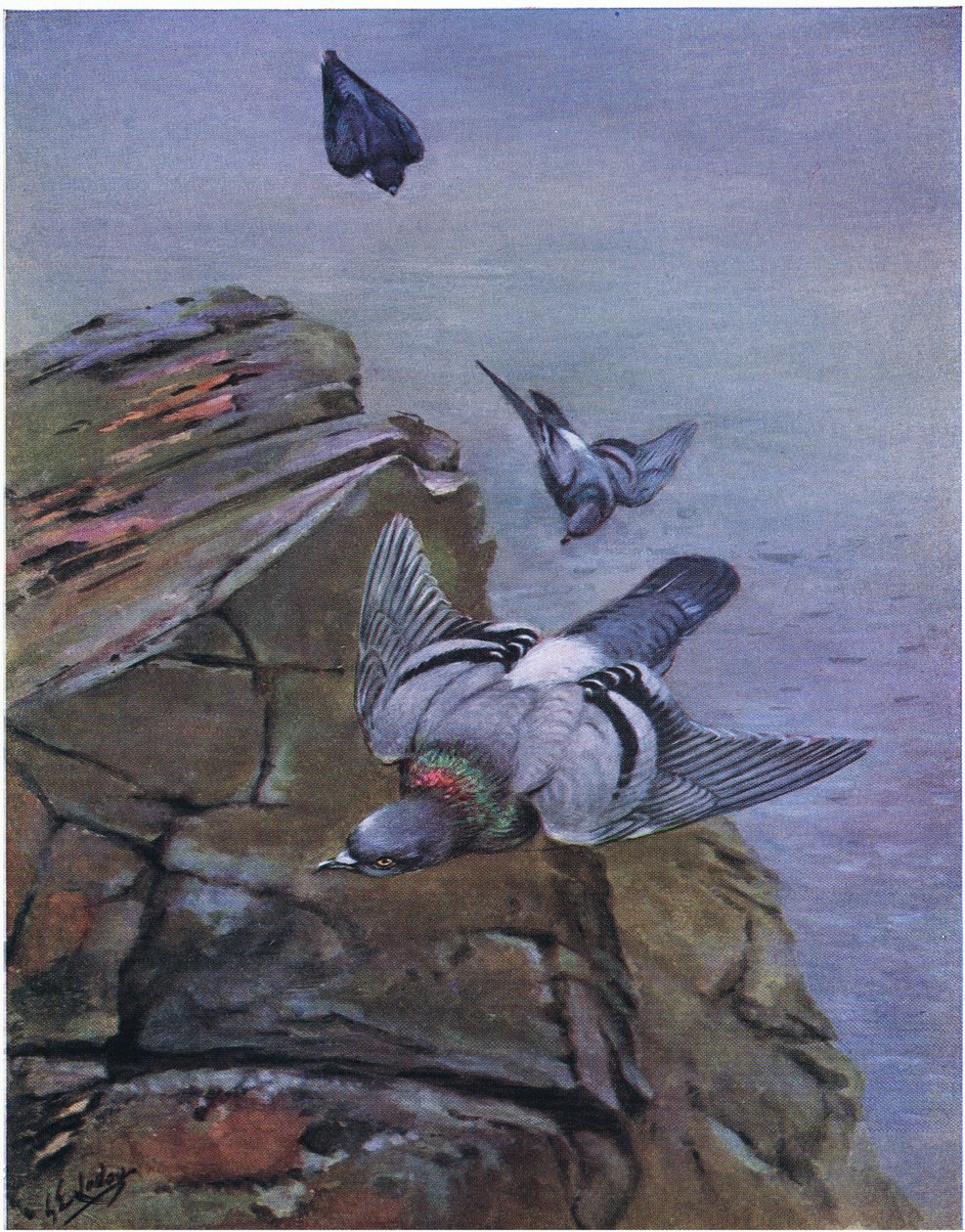  द्वारा जॉर्ज एडवर्ड लॉज