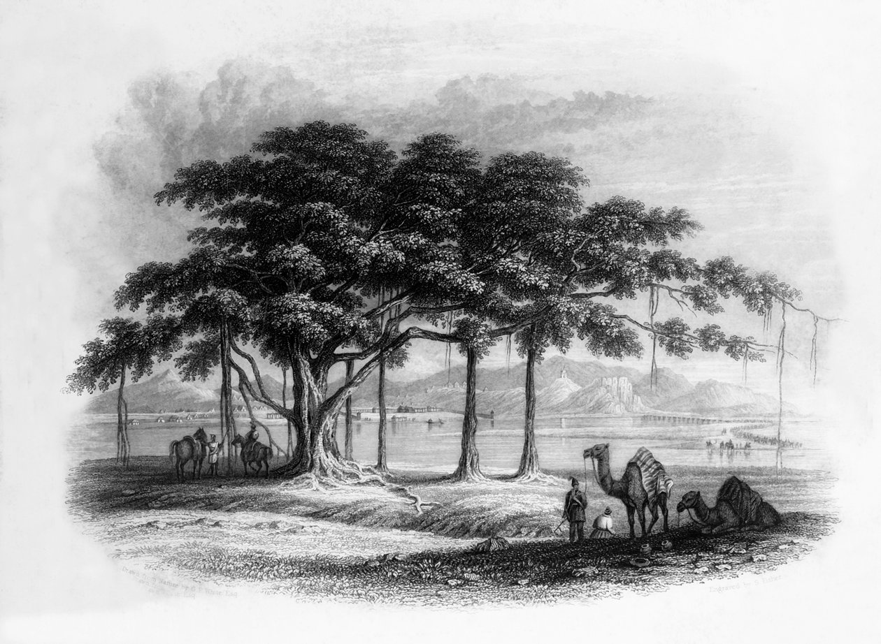 1838 में सतलुज नदी पर रूपपुर में रणजीत सिंह का पड़ाव। द्वारा जॉर्ज फ्रांसिस व्हाइट