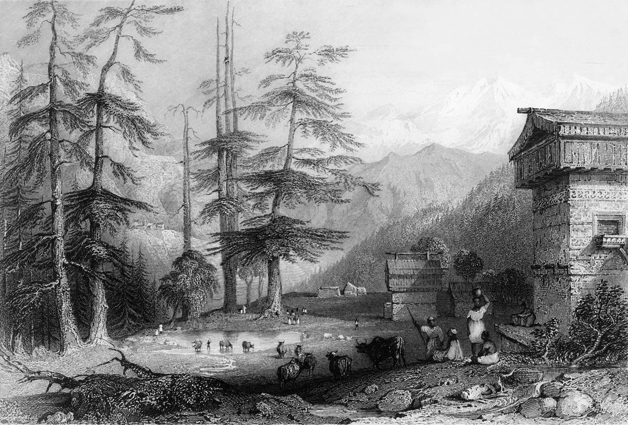 कोघेरा और देवदार वन का गाँव, चूर के पास, 1838। द्वारा जॉर्ज फ्रांसिस व्हाइट