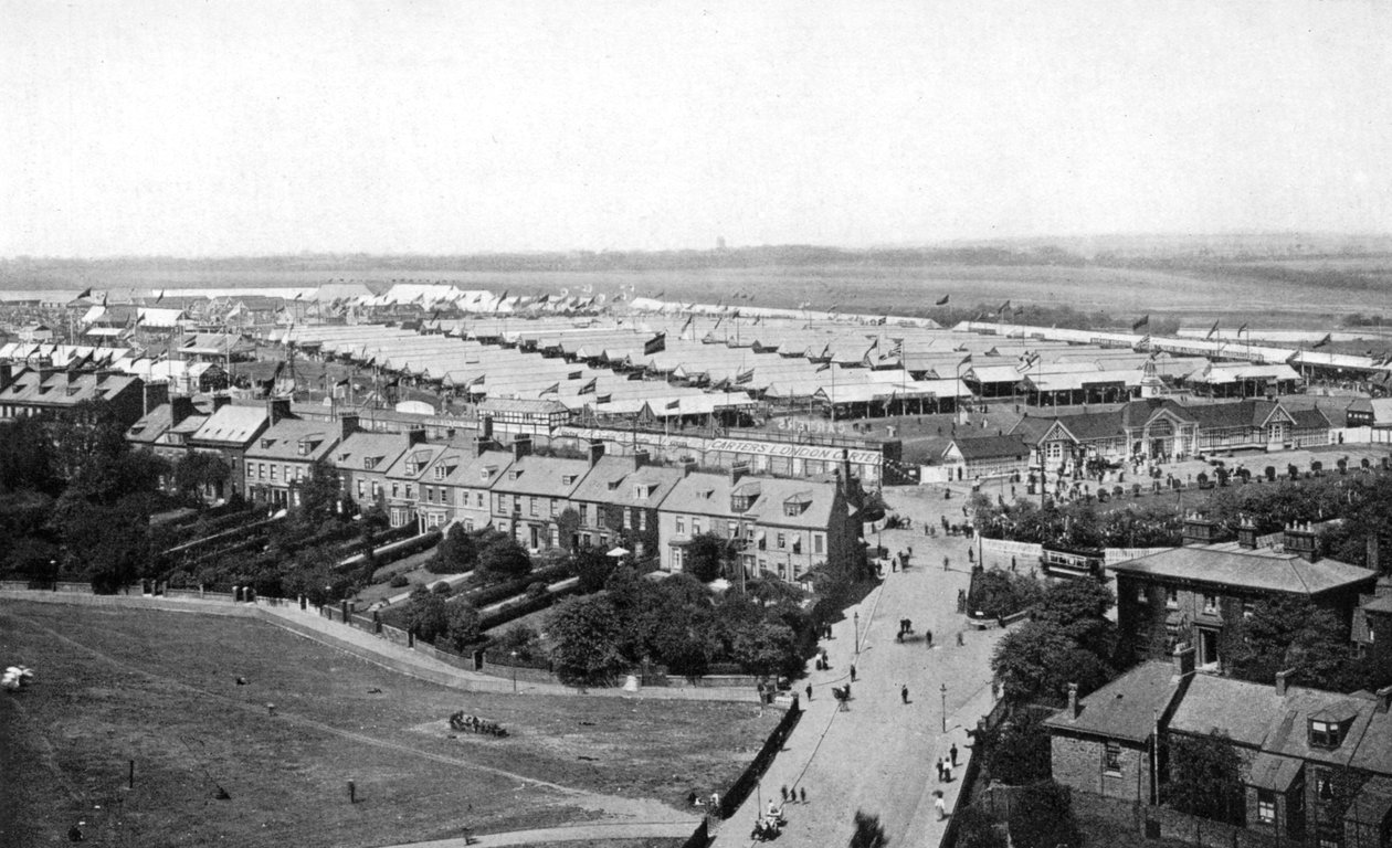 द रॉयल शो, न्यूकैसल ऑन टाइन, 1908। द्वारा जॉर्ज फ्रैंक