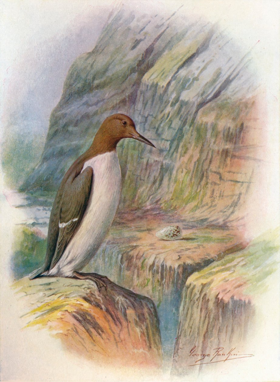 गुइलोट - यूरिया ट्राइल, सी 1910, 1910 द्वारा जॉर्ज जेम्स रंकिन